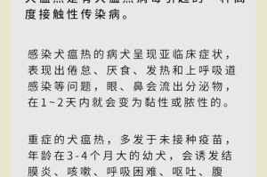 犬瘟早期症状揭秘（探寻犬瘟早期的症状及其特点）