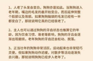 狗狗年龄换算表（了解狗狗不同年龄阶段的成长与发展，为你的宠物提供最佳护理）