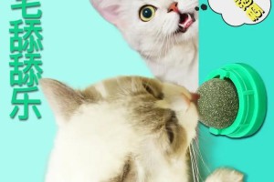 探究猫咪喜欢逗猫棒的原因（揭秘猫咪与逗猫棒的亲密关系）