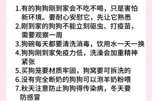 养狗小百科（从选择犬种到训练技巧，全面掌握养狗要点）