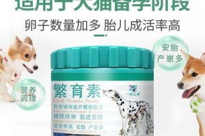 宠物猫的繁殖过程（探秘宠物猫繁殖周期及注意事项）