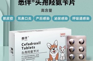 猫皮肤病的药膏治疗方案（选择适合的药膏，帮助你的猫摆脱皮肤病困扰）