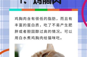 猫咪的营养需求和蛋白质摄入量（了解猫咪的饮食需求，给它们提供健康饮食）